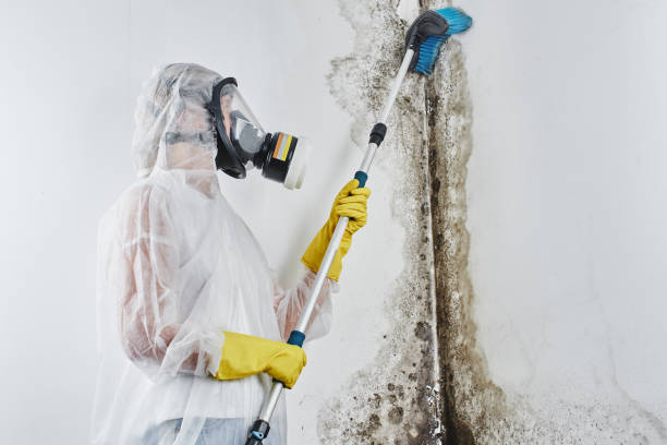 Water Damage Restoration in East Palatka, FL